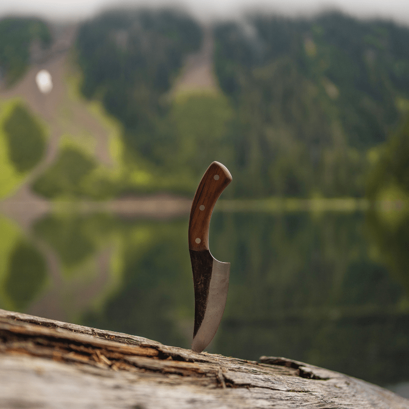 Hanta Hand Forged Precision Knife - TheCookingGuild