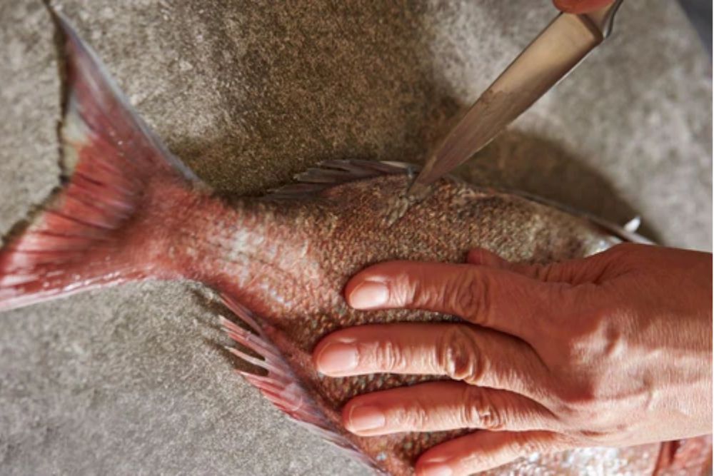 Knife Skills: How To Fillet a Fish