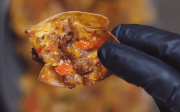 Cheesy Sausage Wonton Bites!