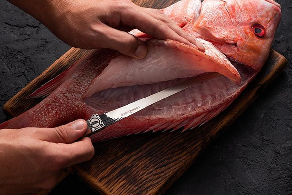 Master the Art of Fishing: 3 Must-Have Knives for Your Next Adventure