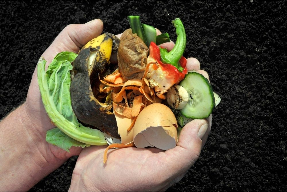 Things You Should Know Before Starting a Compost Bin