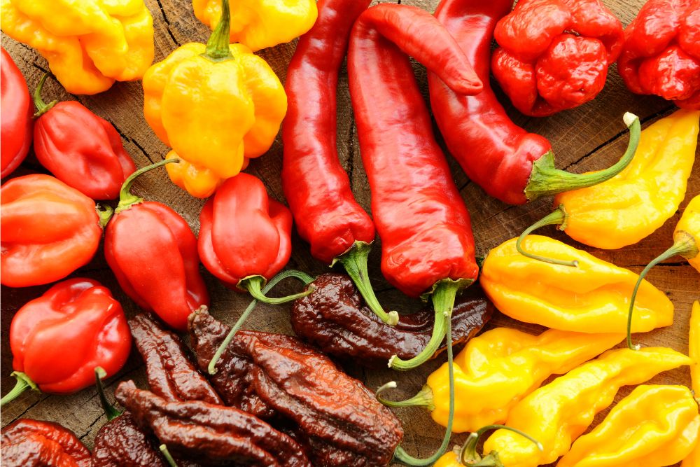 Your Guide to Hot Peppers (Chilies)