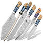 Nomad Everest Bundle
